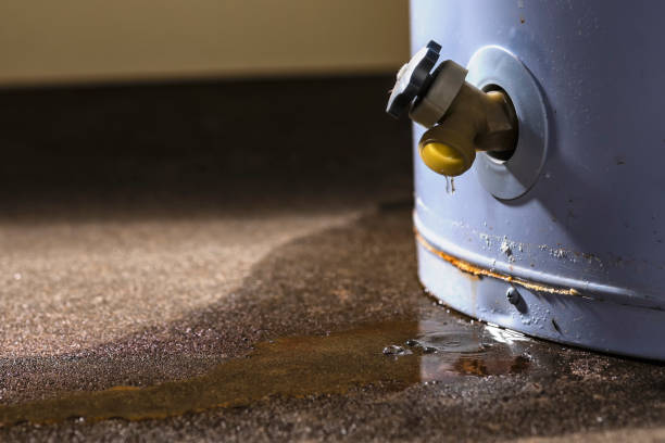 Best 24-hour water damage restoration  in Minerva Park, OH