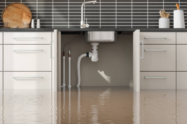 Best Sewage cleanup and water damage restoration  in Minerva Park, OH