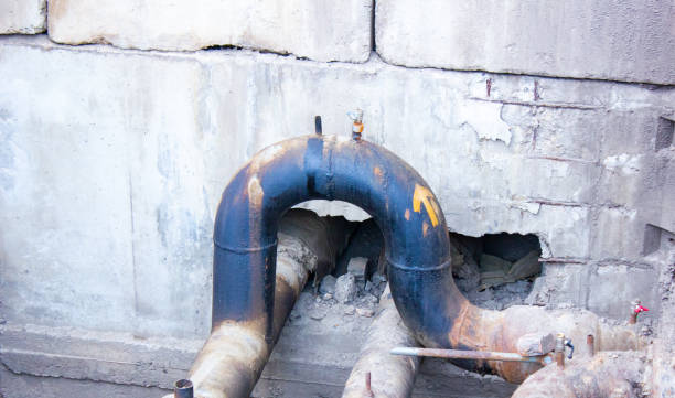 Best Flood damage cleanup  in Minerva Park, OH