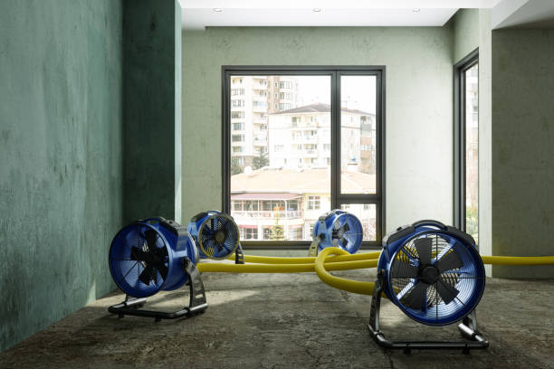 Best Fire Damage Restoration  in Minerva Park, OH